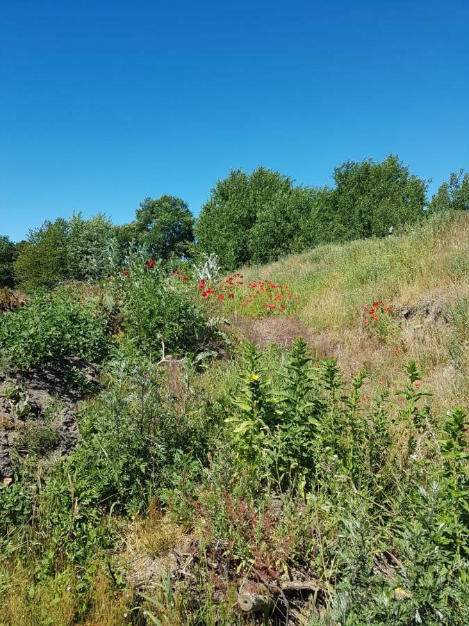 Urlaub Bei Hauenstein Apartment Born Bagian luar foto
