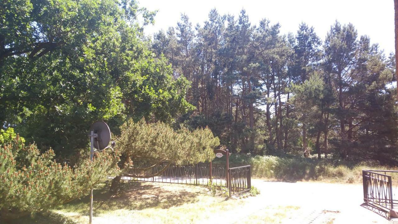 Urlaub Bei Hauenstein Apartment Born Bagian luar foto