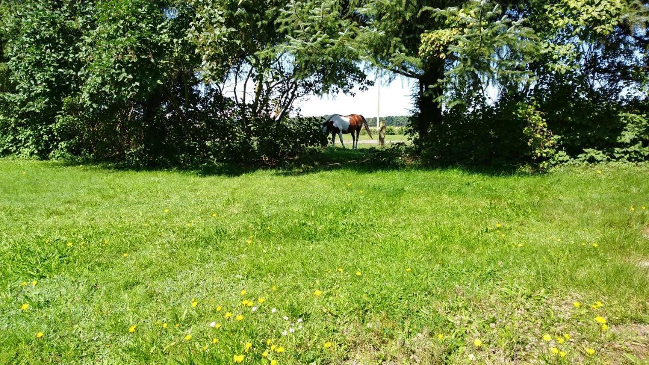 Urlaub Bei Hauenstein Apartment Born Bagian luar foto
